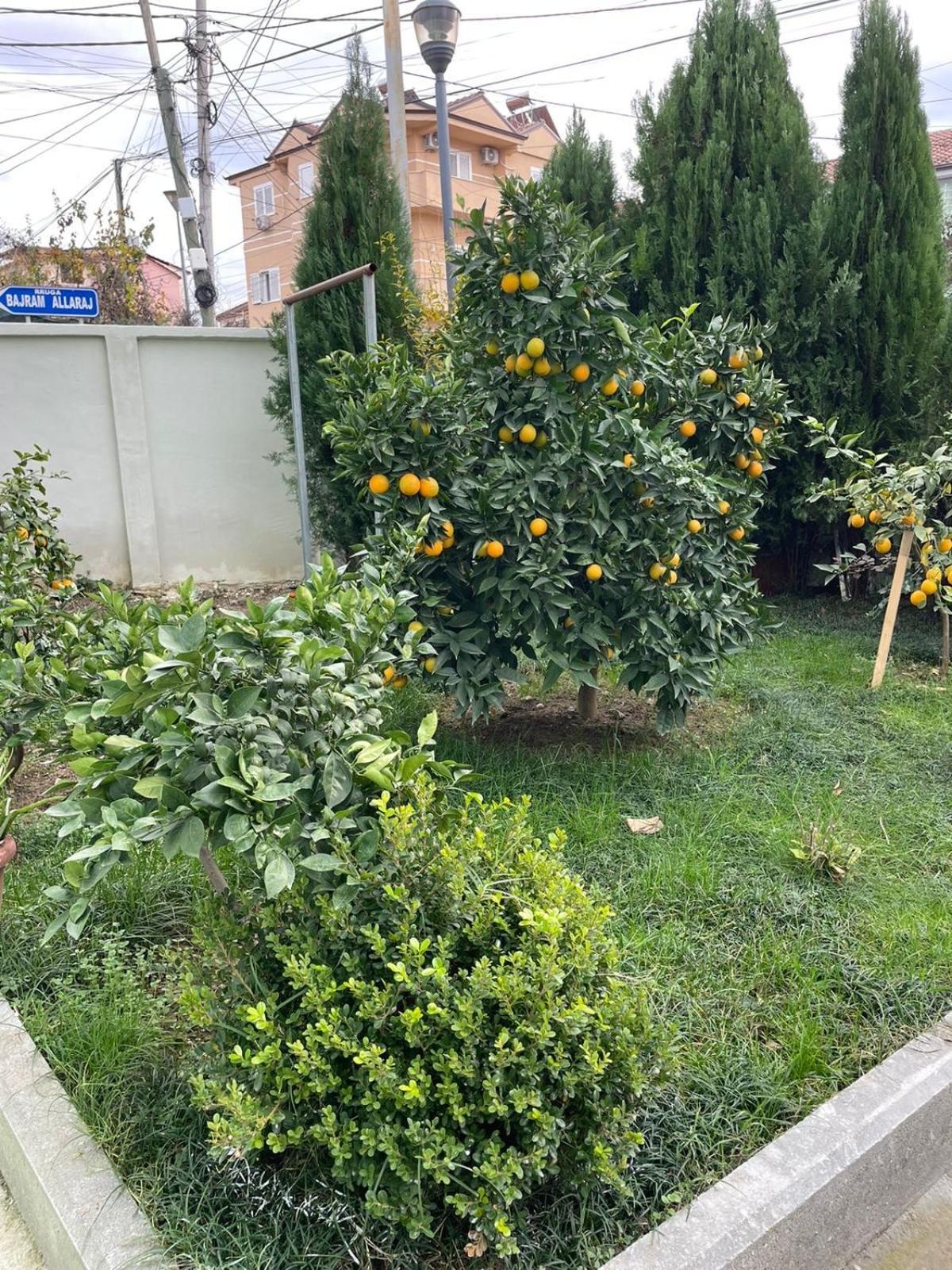 Kevi 'S Place Tirana Esterno foto